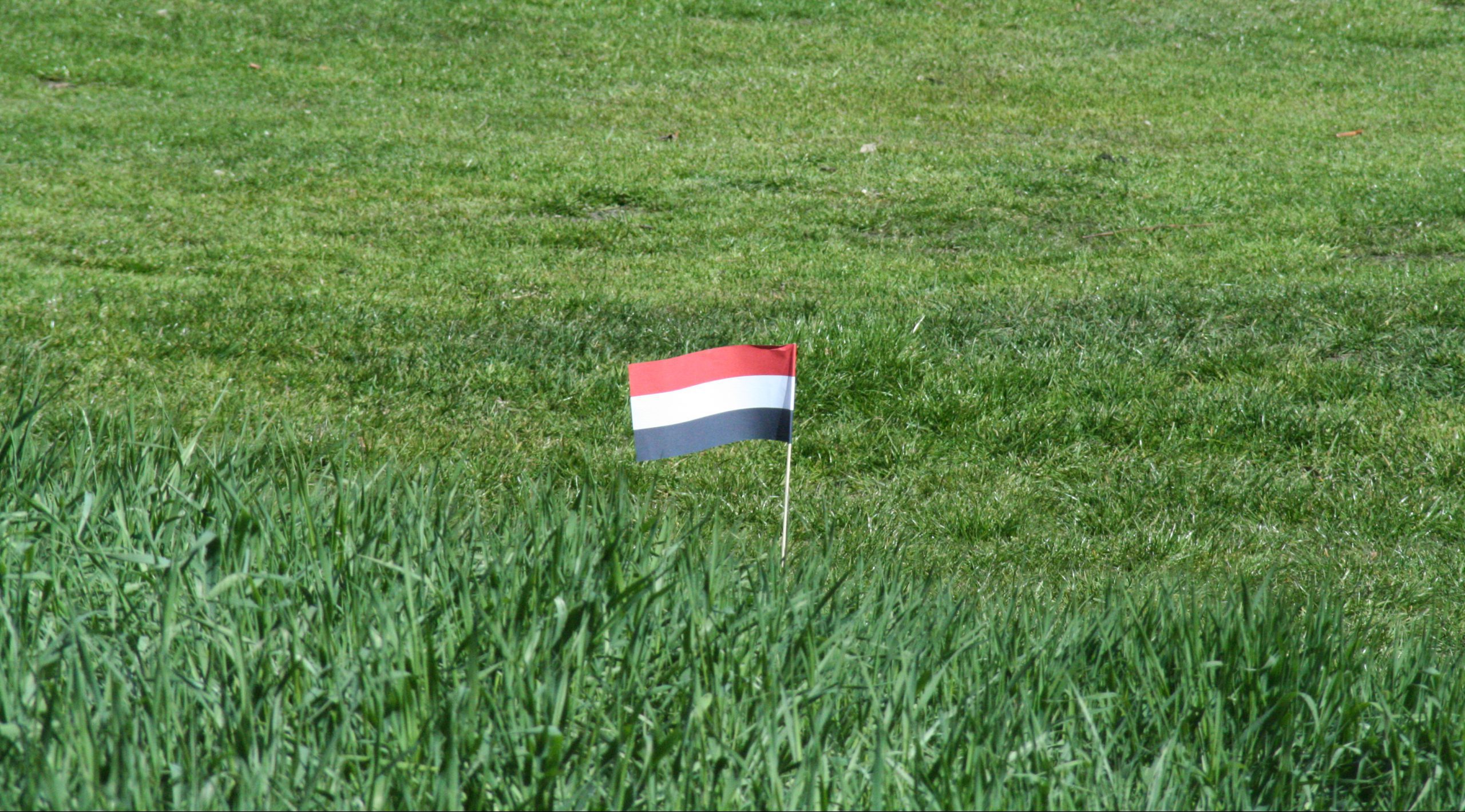 Geslaagd met vlag en wimpel