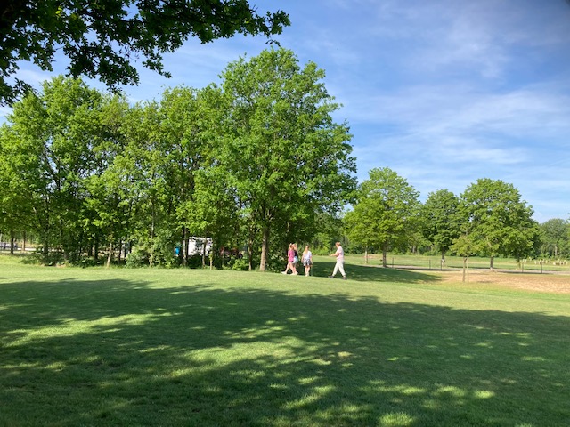 Basisschool-leerlingen maken kennis met golf